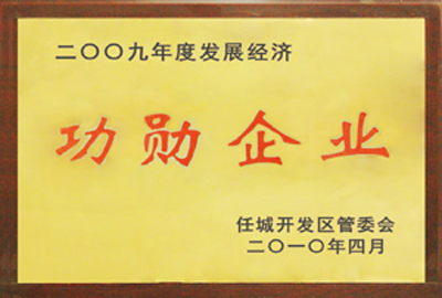 被評為2009年度發展經濟功勛企業