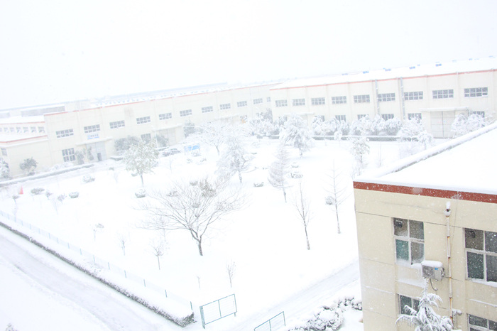 鳥瞰沃爾華工業園